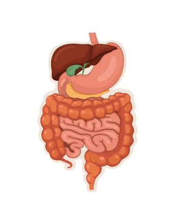 Gastrologist in Summit, NJ