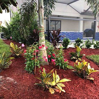 Different Plants For Landscaping — Lakewood Ranch FL — Emerald Green of Bradenton Different Plants For Landscaping — Lakewood Ranch FL — Emerald Green of Bradenton