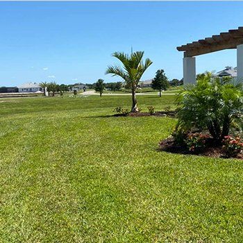 Huge Lawn After Mowing — Lakewood Ranch FL — Emerald Green of Bradenton