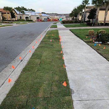 Sod Installation For Residential Pathway — Lakewood Ranch FL — Emerald Green of Bradenton Sod Installation For Residential Pathway — Lakewood Ranch FL — Emerald Green of Bradenton
