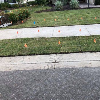Sod Installation On Pathway — Lakewood Ranch FL — Emerald Green of Bradenton Sod Installation On Pathway — Lakewood Ranch FL — Emerald Green of Bradenton