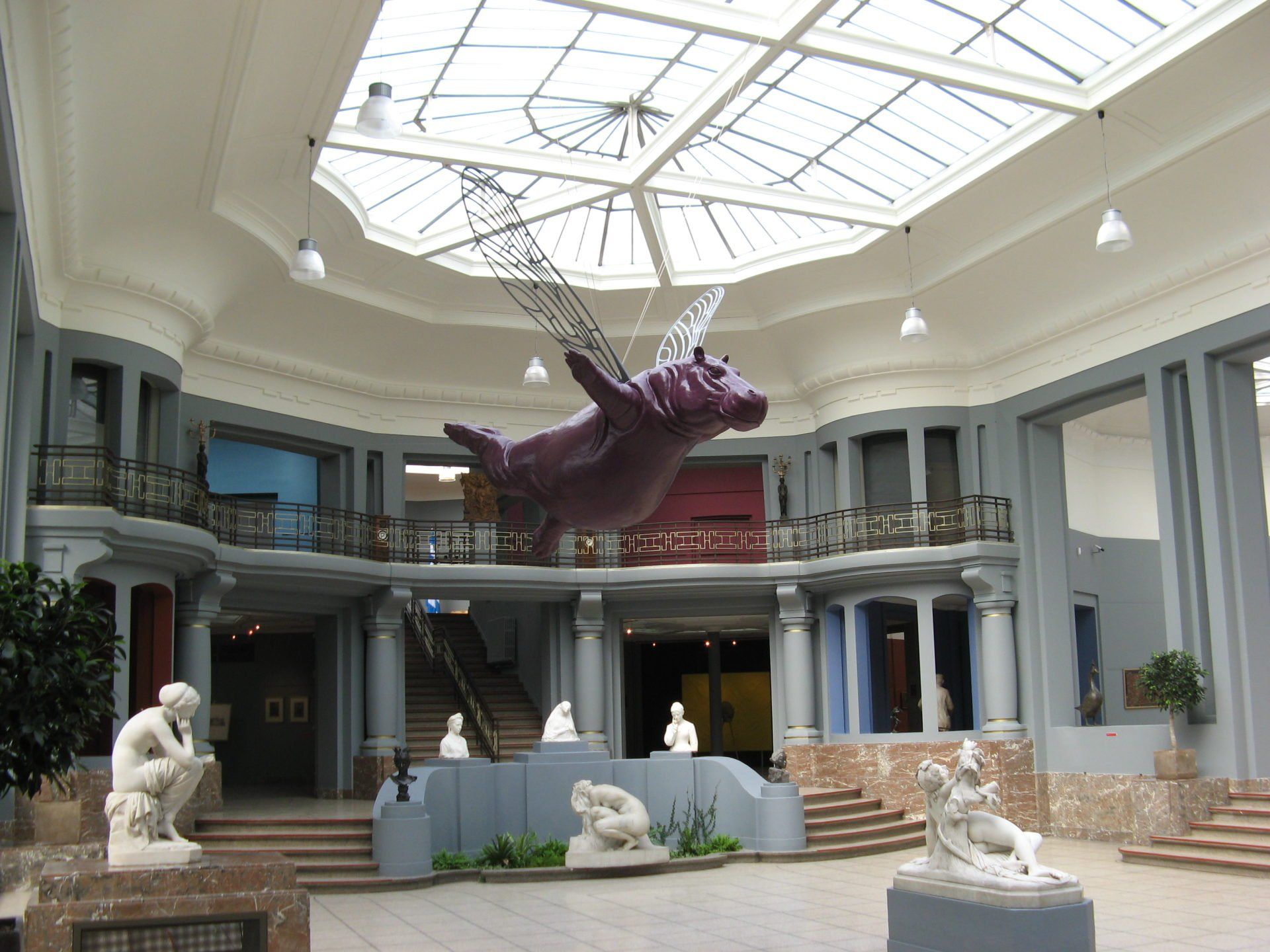 Li Belle Hippo