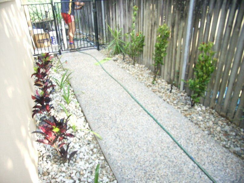 Pathway with Plants — Landscaping and Paving Service in Trinity Beach, QLD