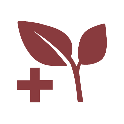 logo di una foglia e un simbolo di farmacia