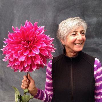 Person holding a giant dahlia bloom