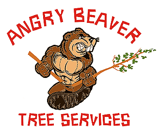 Tree Service Lewiston, NY; Wilson, NY; Sanborn, NY; Niagara Falls, NY; Cambria, NY; Pendleton, NY