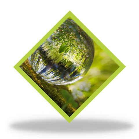Fidelity icon