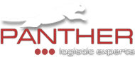 Panther logo