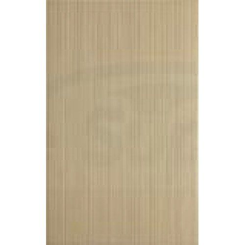 Professional wall tile