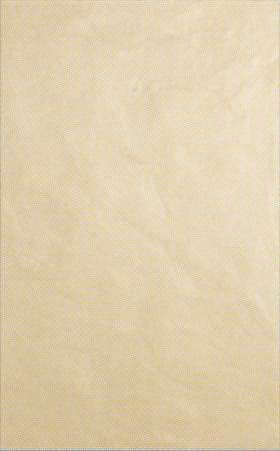 Professional wall tile