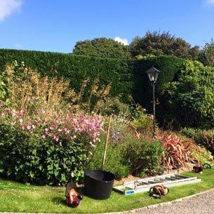 Pruning services