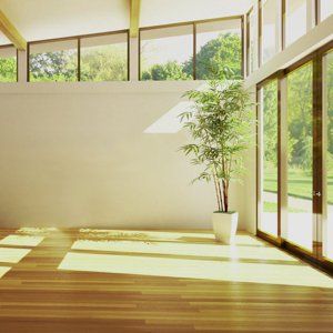 Domestic and commercial clearance specialists