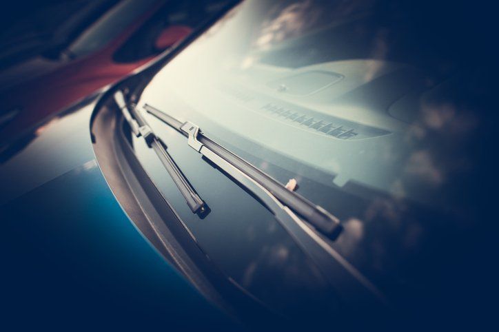 windshield