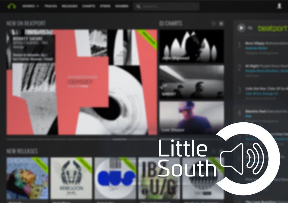A blurred image of a little south website