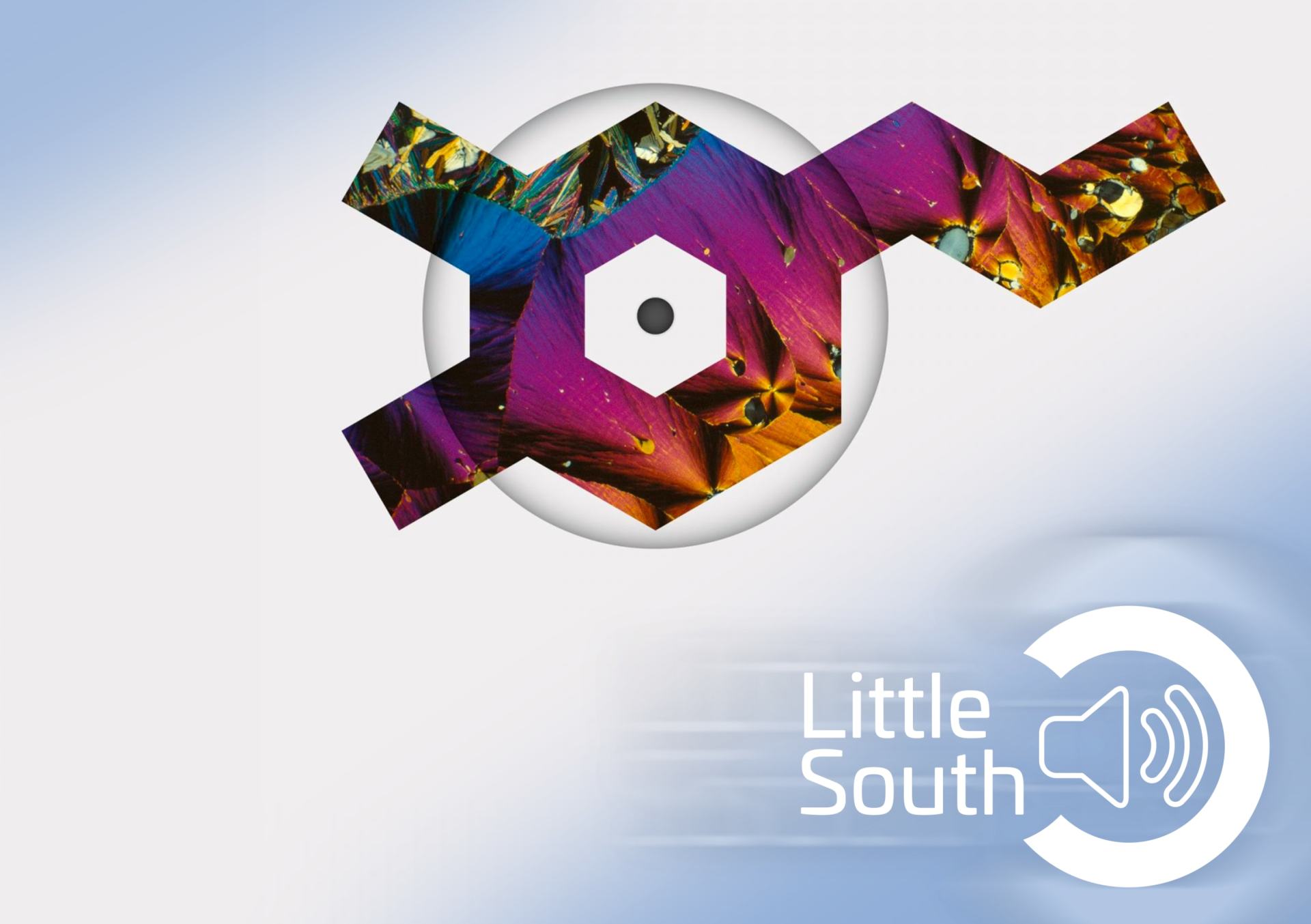A little south logo with a purple and white circle