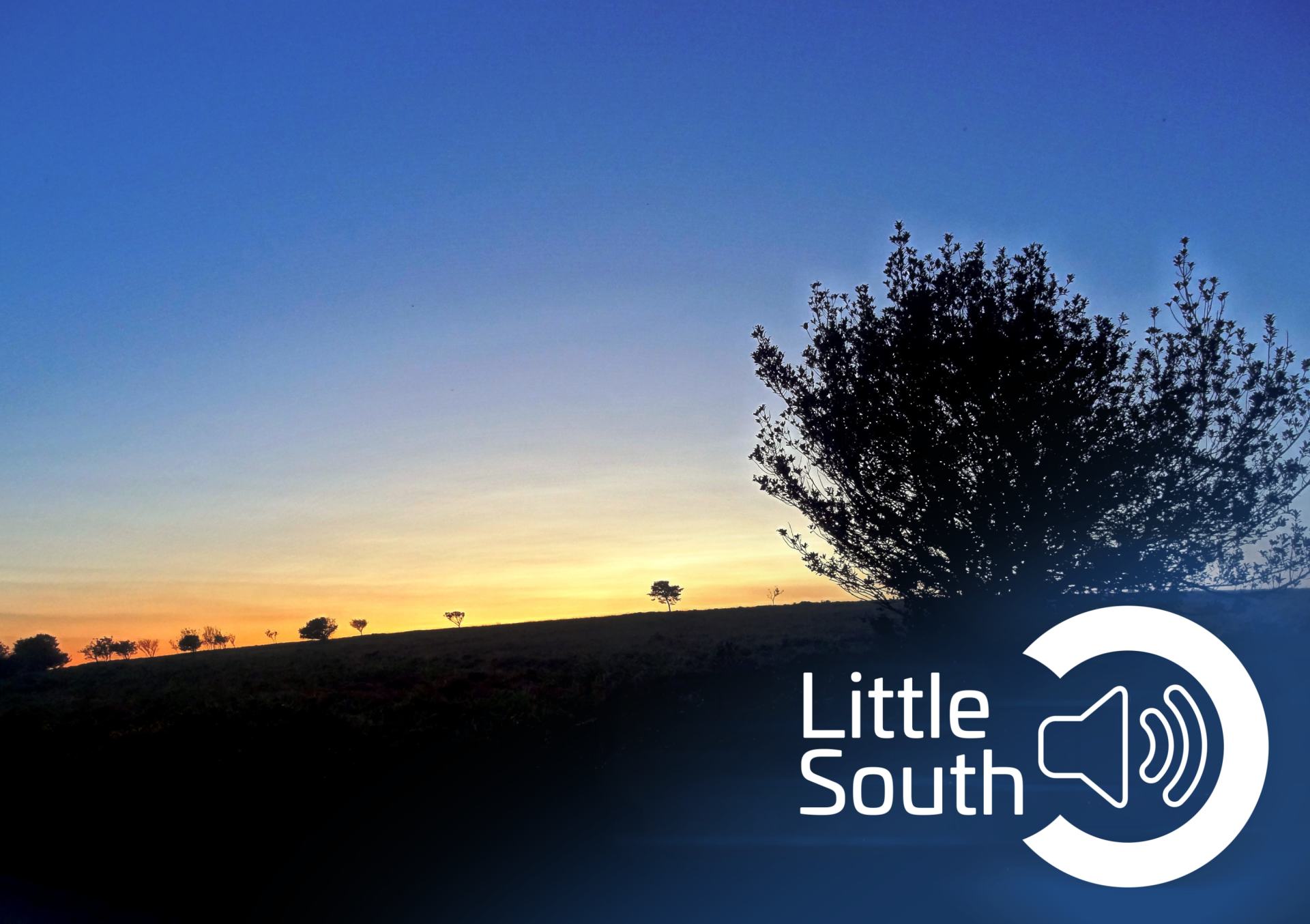 A little south logo with a sunset in the background