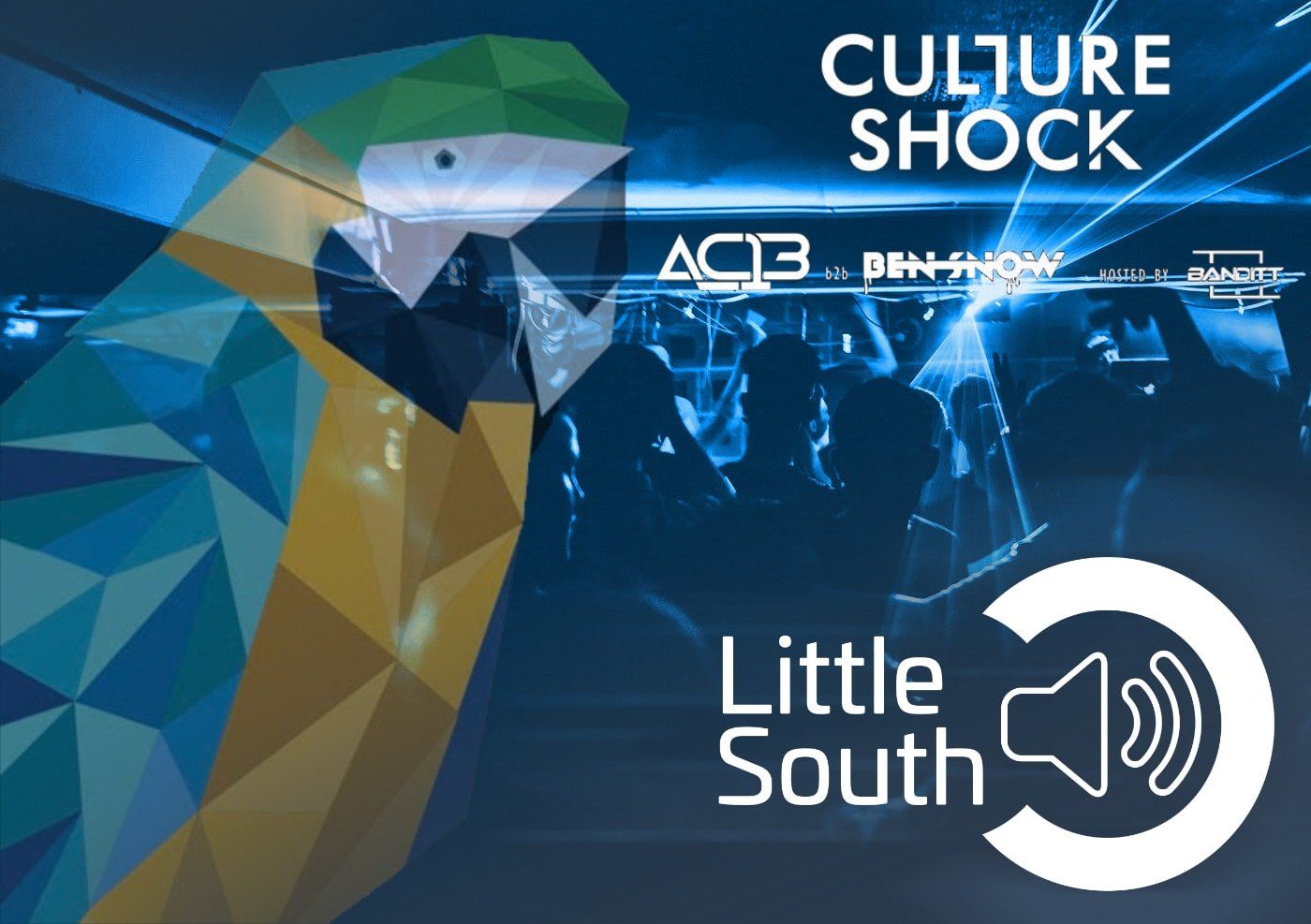 An advertisement for culture shock little south