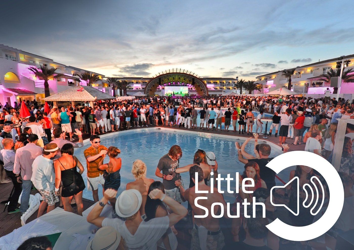 A large group of people are standing around a pool at a party.