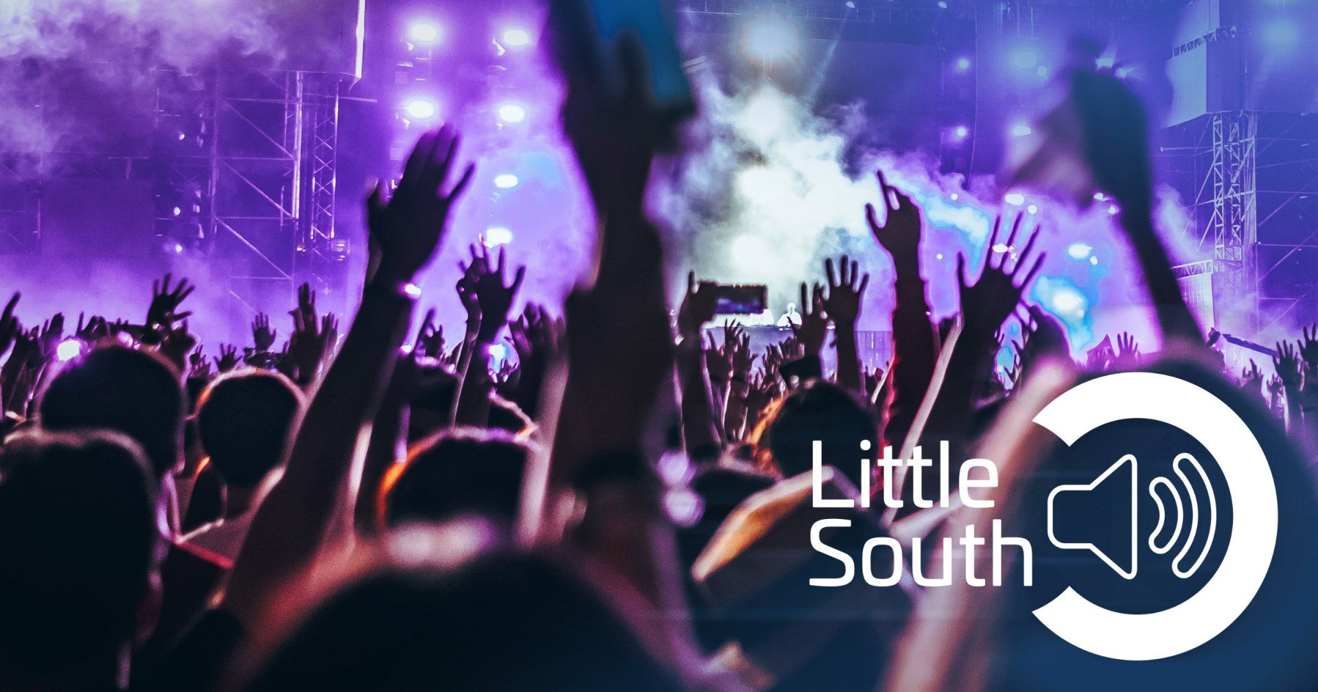 A crowd of people raising their hands in the air at a little south concert
