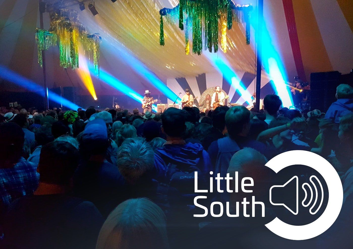 A crowd of people at a little south concert