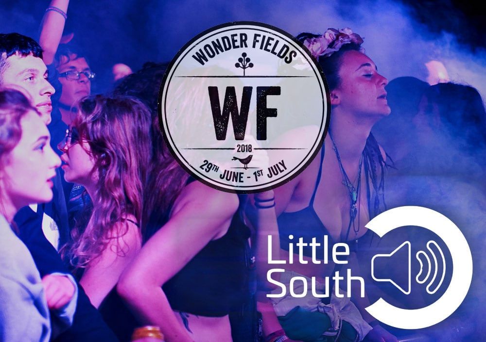 A group of people are dancing at a wonder fields event