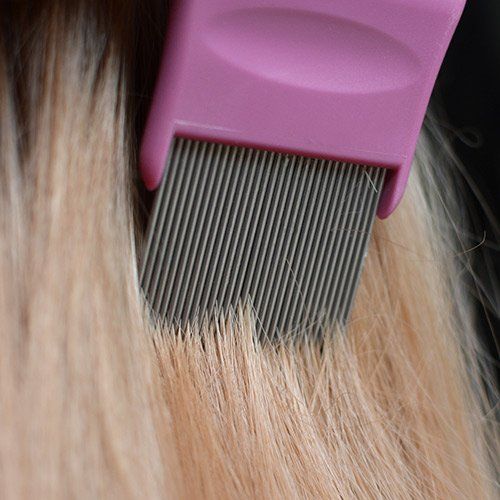Combing Hair with a Lice Comb — Birmingham, AL — Lice Clinics of Birmingham Combing Hair with a Lice Comb — Birmingham, AL — Lice Clinics of Birmingham