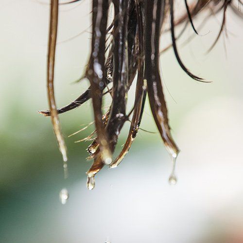 Oil Treatment for Hair — Birmingham, AL — Lice Clinics of Birmingham Oil Treatment for Hair — Birmingham, AL — Lice Clinics of Birmingham