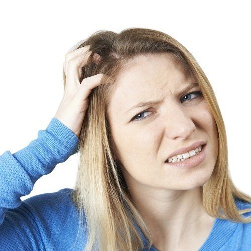 Head Lice Screening — Birmingham, AL — Lice Clinics of Birmingham Head Lice Screening — Birmingham, AL — Lice Clinics of Birmingham