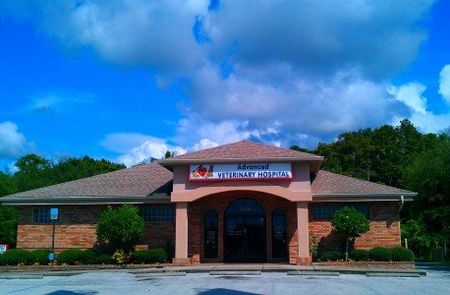 Emergency Vet—Animal Hospital in Holiday, FL Emergency Vet—Animal Hospital in Holiday, FL