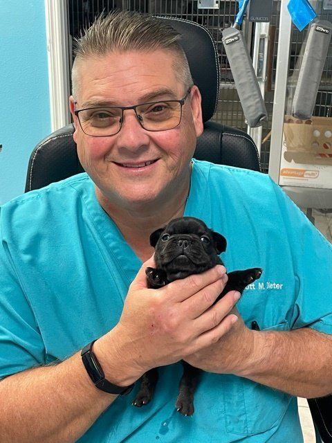 Dr. Scott Dieter, Veterinarian — Animal Hospital in Holiday, FL Dr. Scott Dieter, Veterinarian — Animal Hospital in Holiday, FL