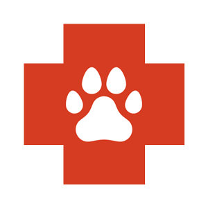 ADVANCED VETERINARY HOSPITAL