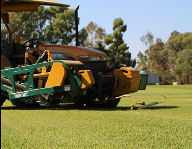 New turf in Sunraysia