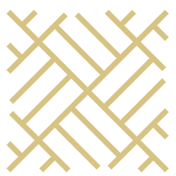 Icona – Levigatura parquet