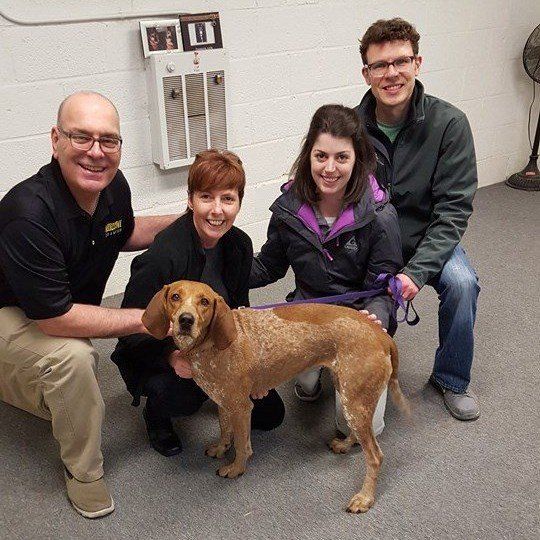 A family poses with their brown spotted hound dog