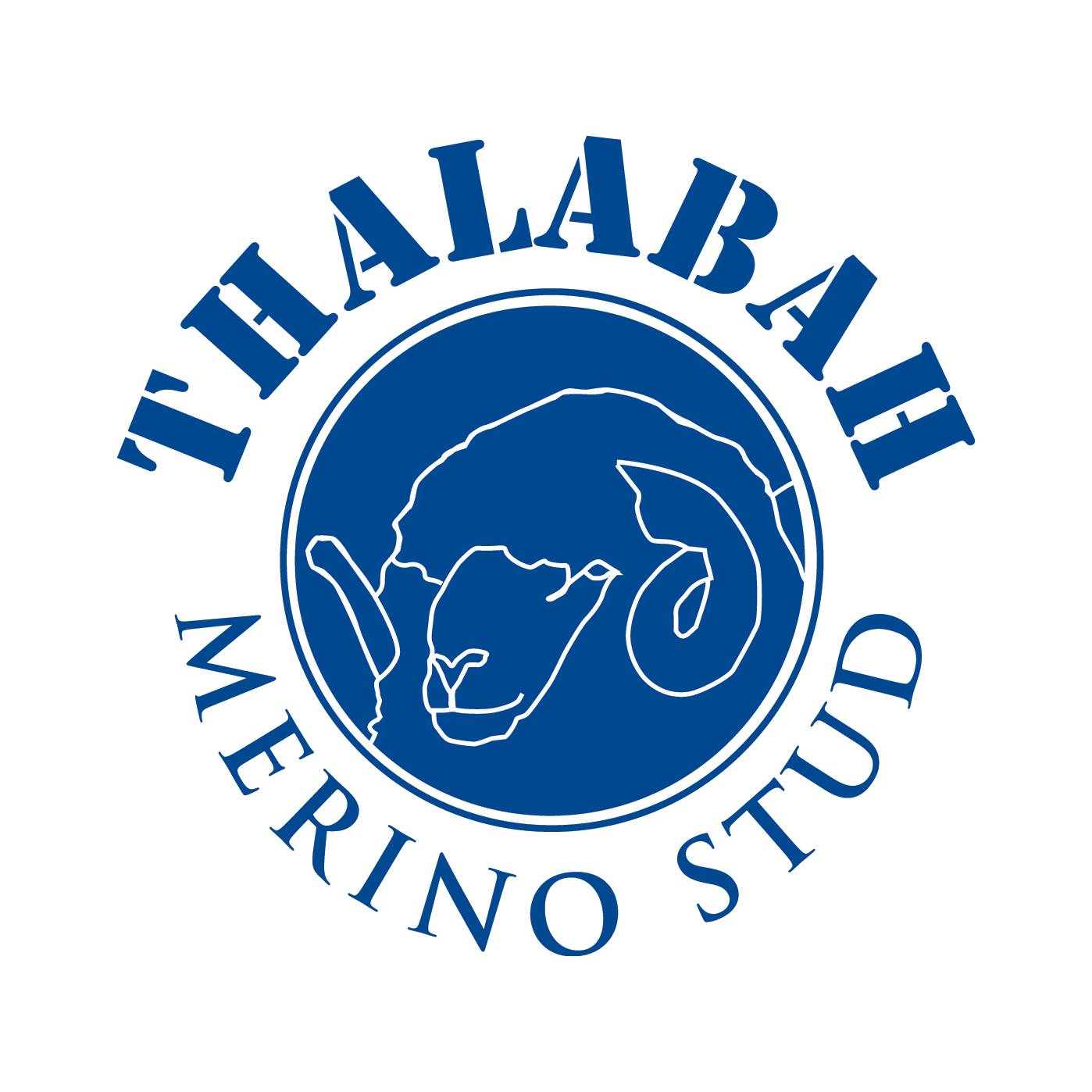 thalabah merino stud logo