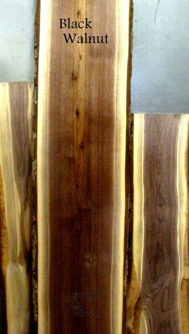 Kawartha lakes Walnut wood slabs for sale