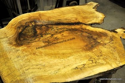 Live edge thick coffee table slab.