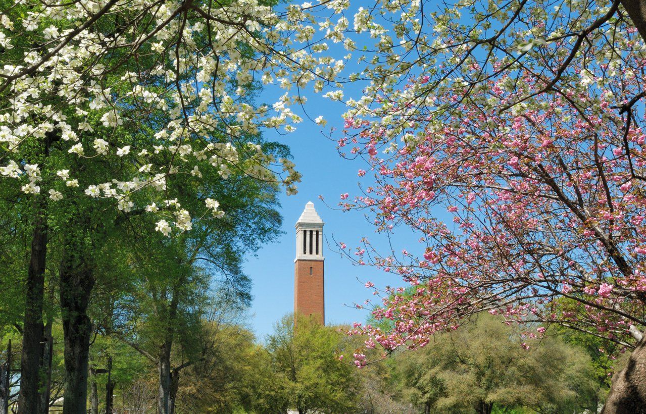 tuscaloosa