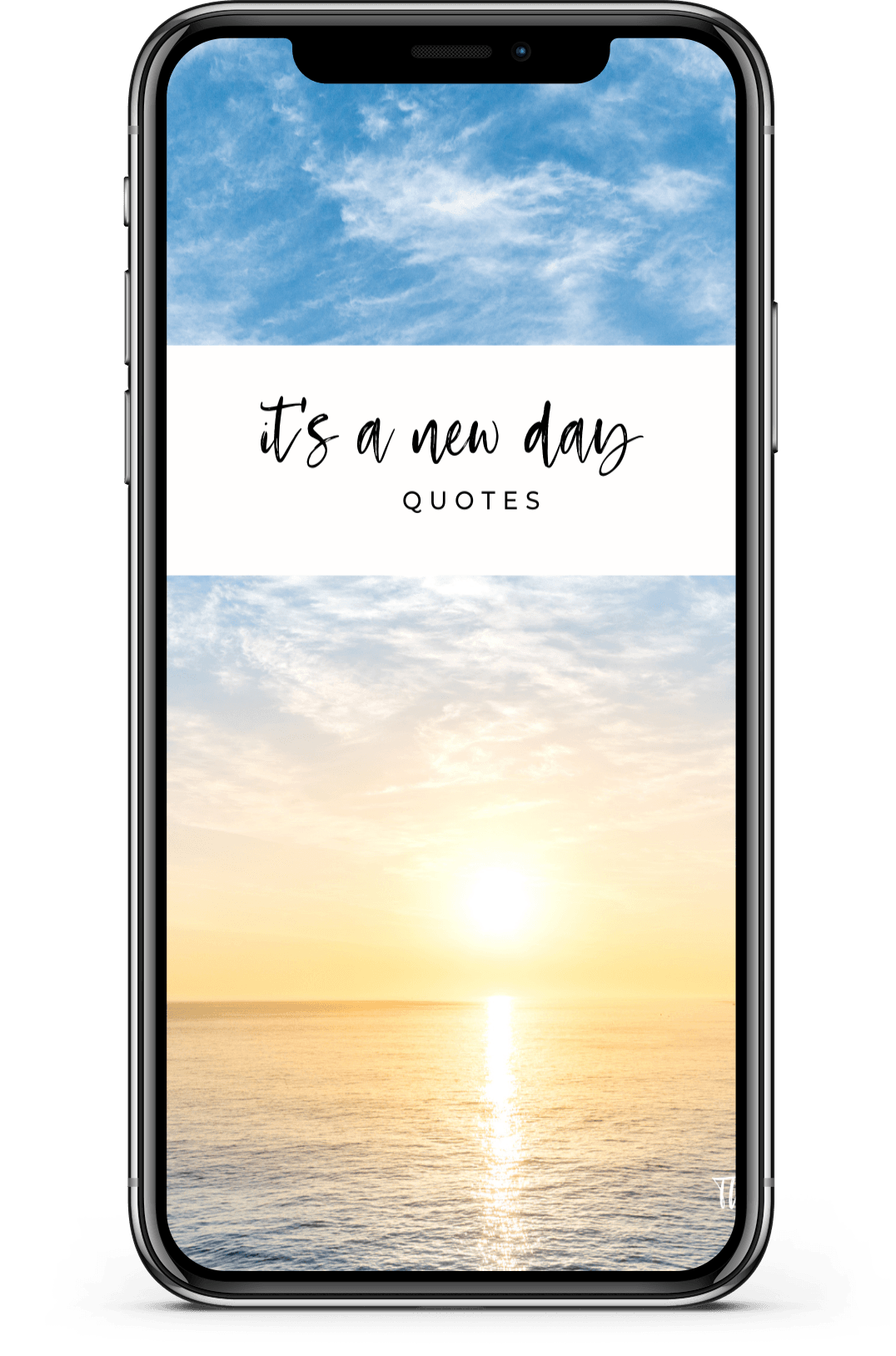 thrivyest lifestyle coaching quotes and accountability