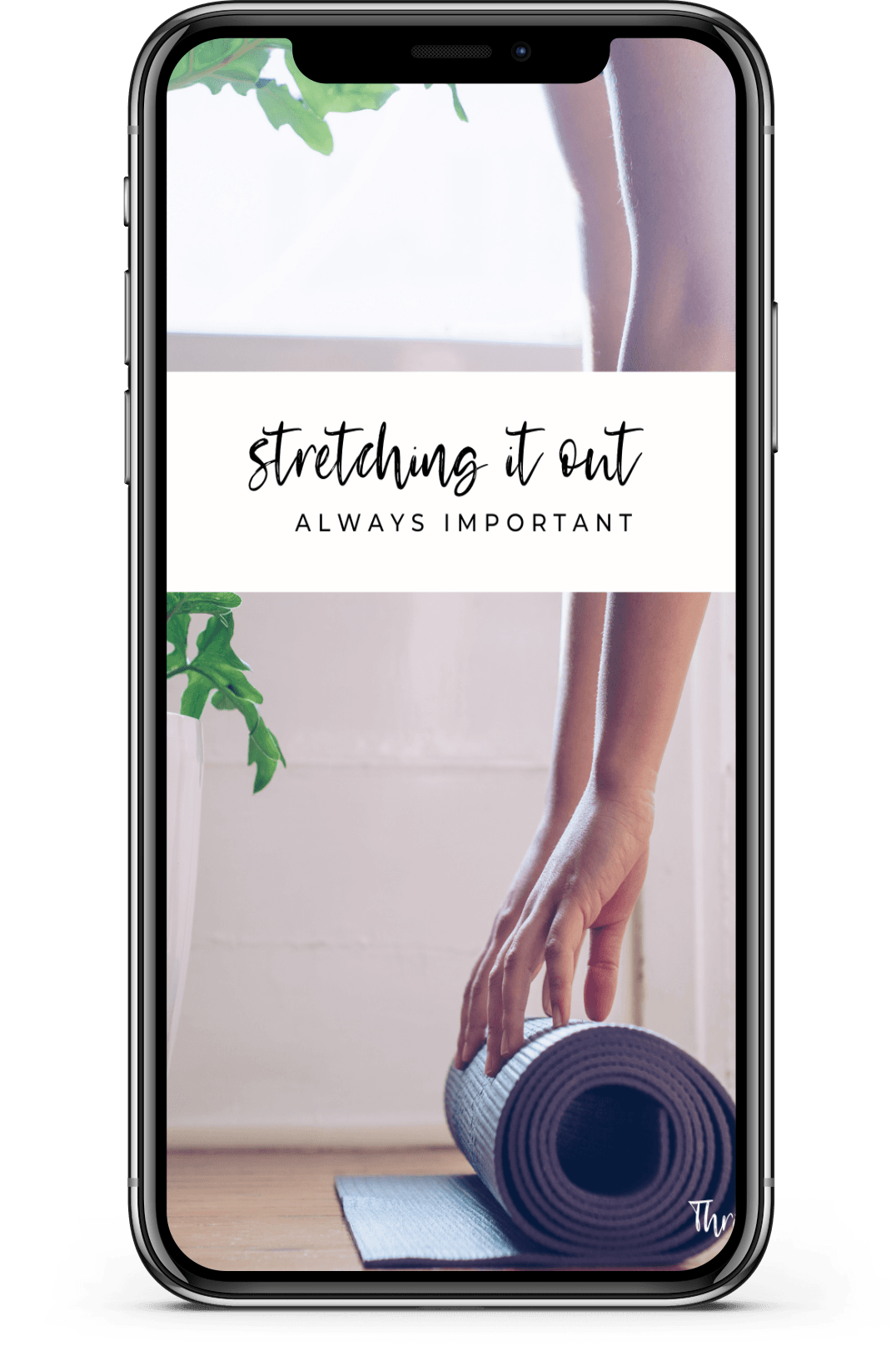 thrivyest stretching guide