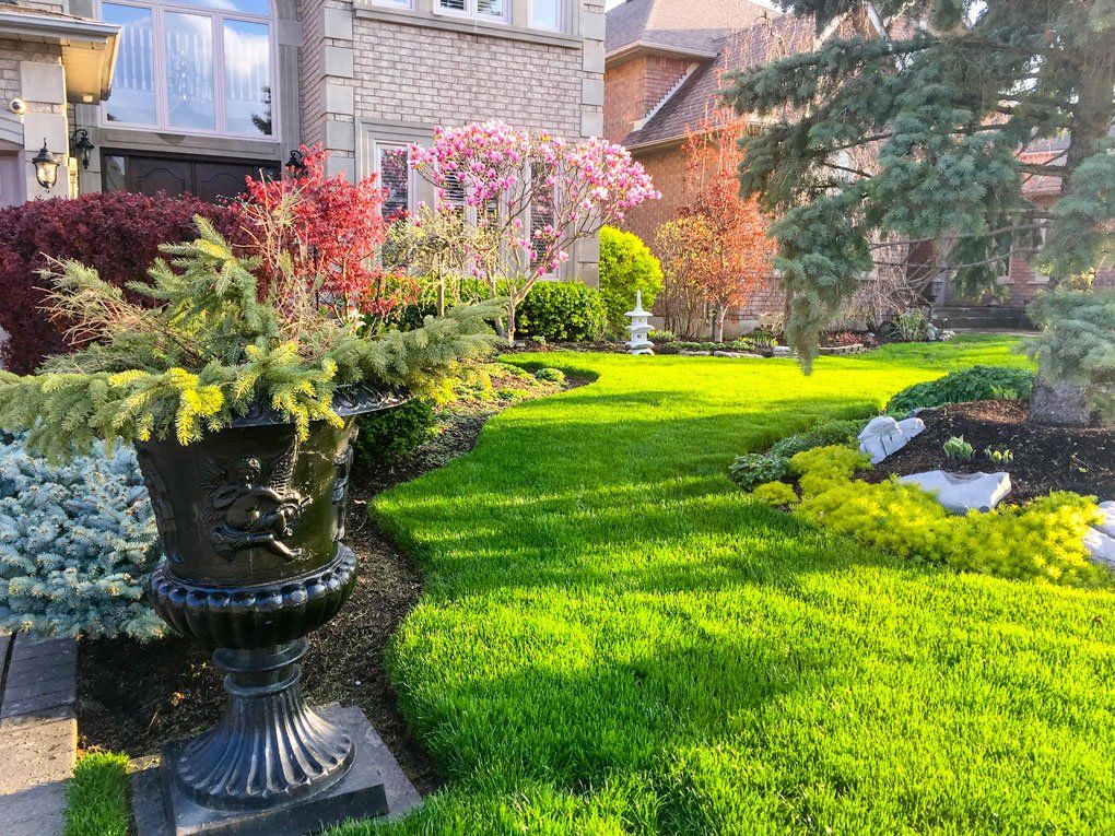 Lawn Care — TM Landscaping LLC