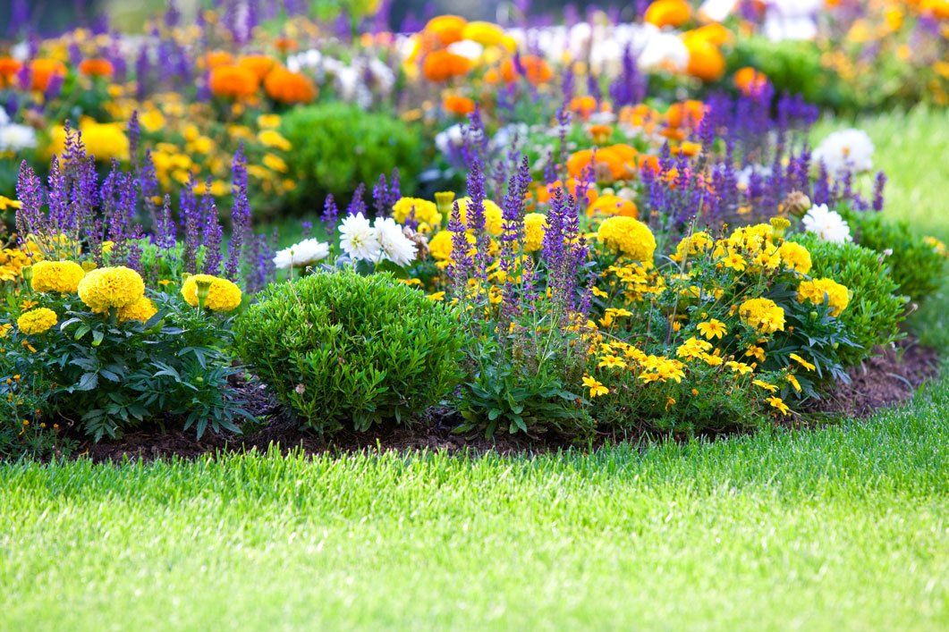 Landscape Designs — TM Landscaping LLC