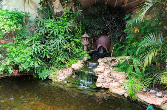 Ponds — Small Waterfall in Decorative Pond in Morris Plains, NJ