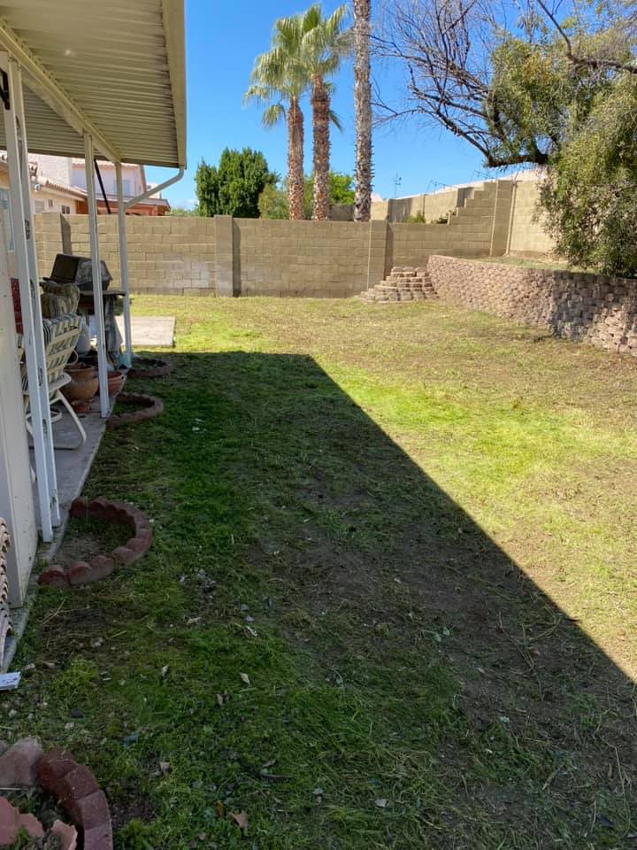 Side yard with patchy grass, a covered patio on the left, and a block wall with palm trees in the background.