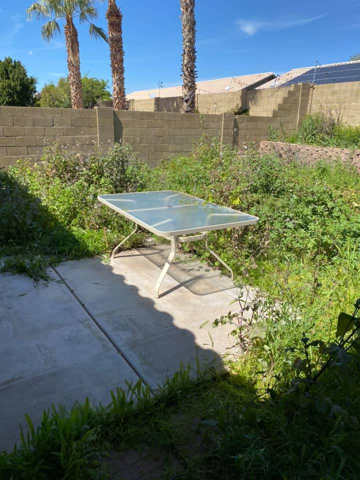 Glass patio table on a concrete slab in a sunny backyard with weeds, palm trees, and a cinder block wall.
