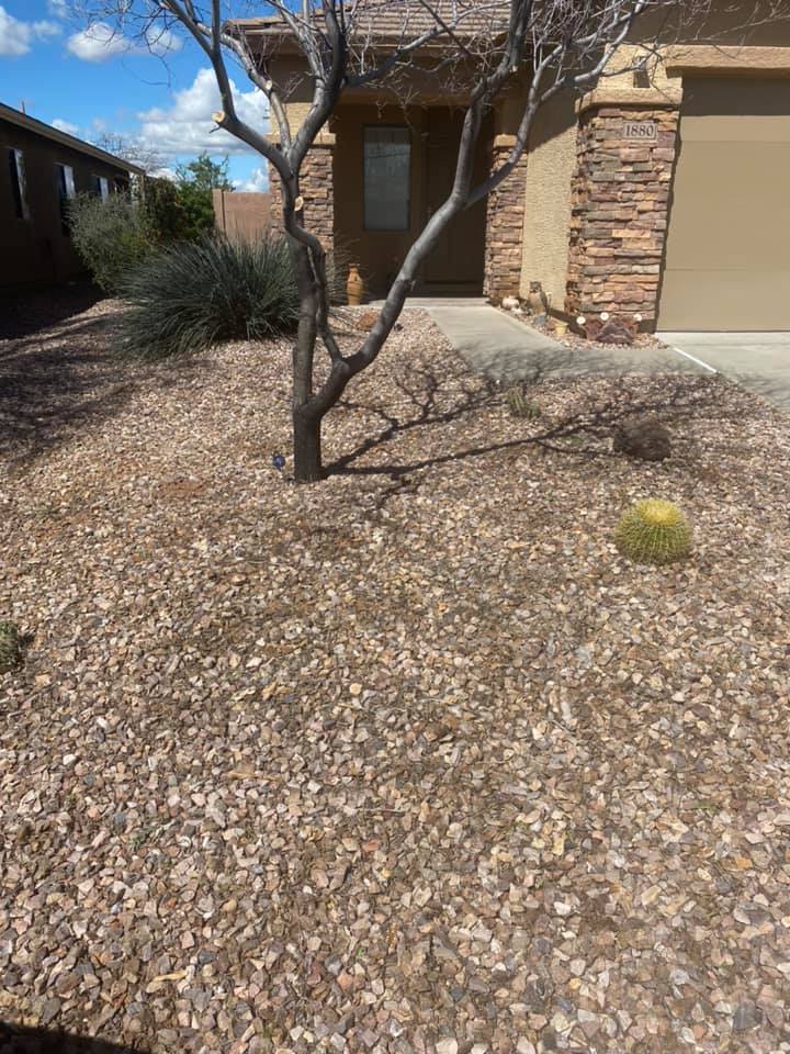 Desert front yard with gravel, a small tree, and a stone house entryway in the background
