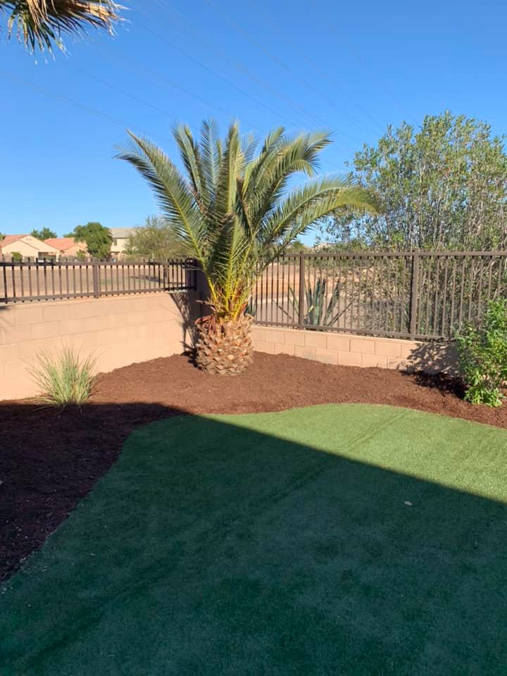 Backyard with a palm tree, desert landscaping, and a fence under a clear blue sky