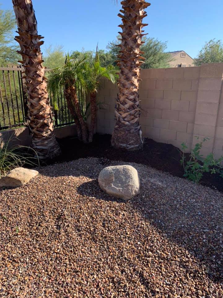 Desert yard with two palm trees, gravel ground, a large rock, and a tan block wall.