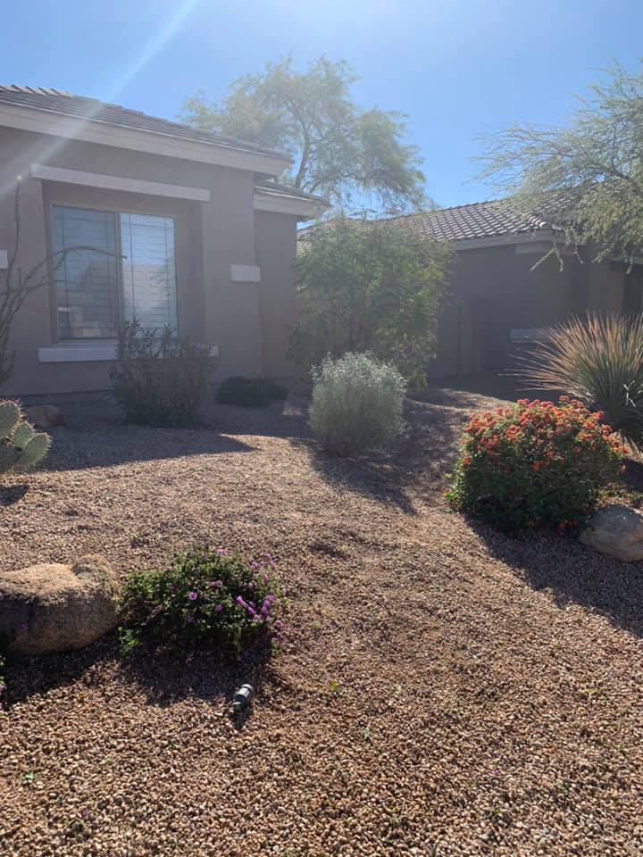Front yard with desert landscaping, shrubs, gravel, and a brick house in bright sunlight