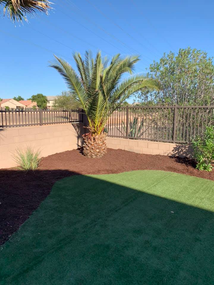 Backyard with a palm tree, fence, artificial grass, and bright blue sky